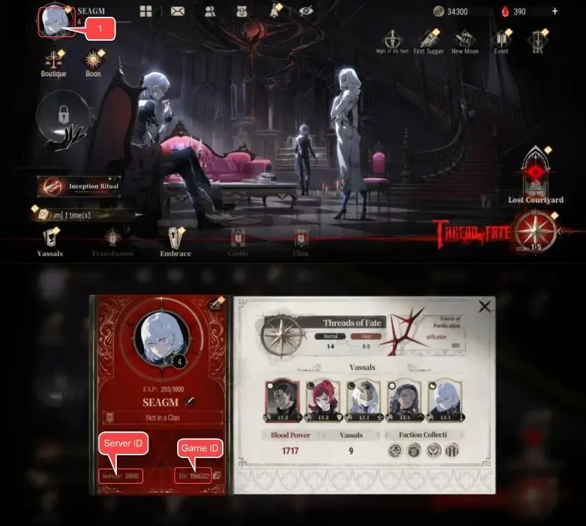 วิธีหา Game ID และ Server ID เกม Silver And Blood
